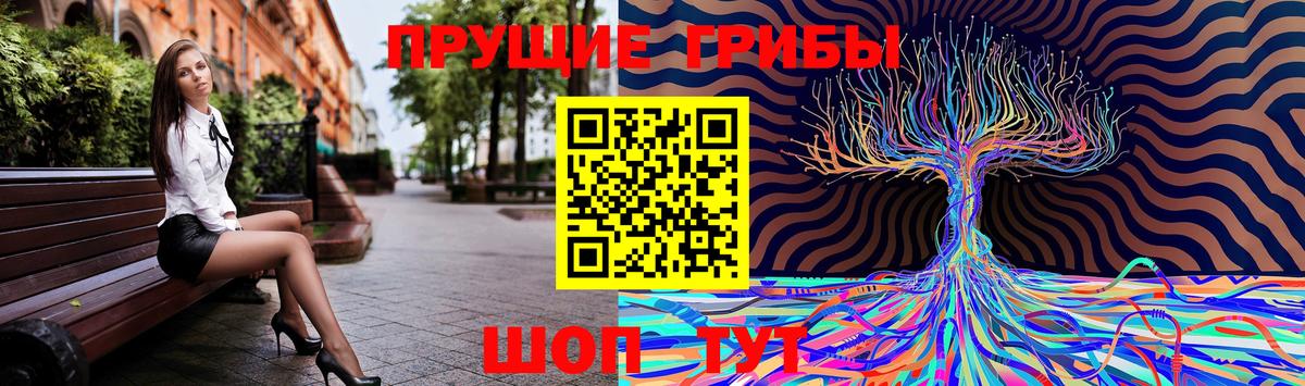 Псилоцибиновые грибы Psilocybine cubensis  Вход с VPN  цена наркотик  Выкса 